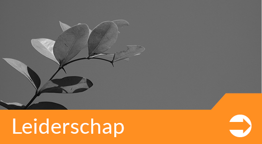 coaching leiderschap De Werkloods